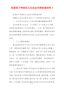 党委班子考核民主生活会对照检查材料3