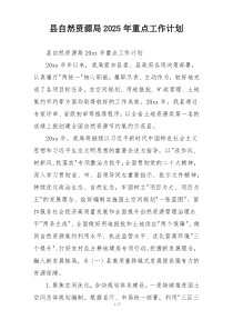 县自然资源局2025年重点工作计划