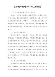 县行政审批局2025年工作计划