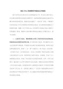 局长20XX年度领导干部述法工作报告