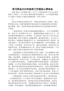学习两会2025年政府工作报告心得体会范文精选(8篇材料)