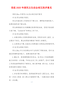 党组2025年度民主生活会相互批评意见