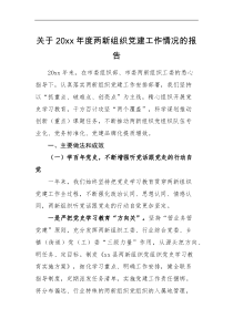 工作报告20XX年度两新组织党建工作情况的报告范文党建工作汇报总结