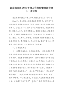 国企党支部2025年度工作完成情况报告及下一步计划