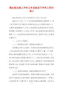 国企党支部上半年工作总结及下半年工作计划2