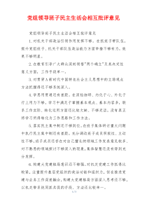 党组领导班子民主生活会相互批评意见