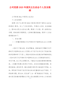 公司党委2025年度民主生活会个人发言提纲