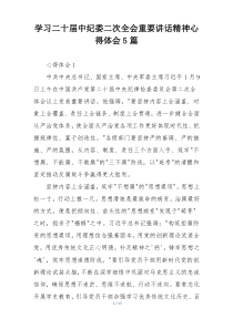 学习二十届中纪委二次全会重要讲话精神心得体会5篇
