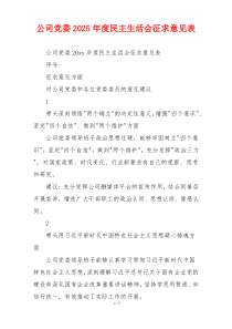 公司党委2025年度民主生活会征求意见表