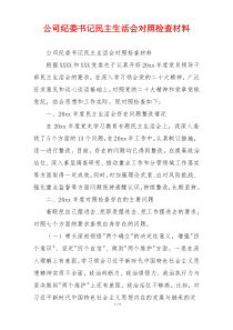 公司纪委书记民主生活会对照检查材料