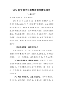 工作报告XXX村支部书记抓整改落实情况报告