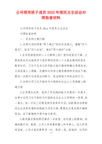 公司领导班子成员2025年度民主生活会对照检查材料