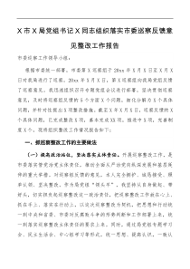 工作报告X市X局党组书记X同志组织落实市委巡察反馈意见整改工作报告