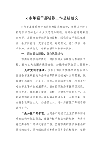 工作报告x市年轻干部培养工作总结范文工作汇报报告青年干部