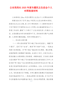 公安局局长2025年度专题民主生活会个人对照检查材料