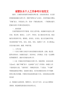 城管队长个人工作参考计划范文