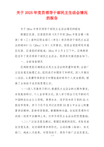 关于2025年党员领导干部民主生活会情况的报告