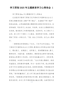 学习贯彻2025年主题教育学习心得体会 1