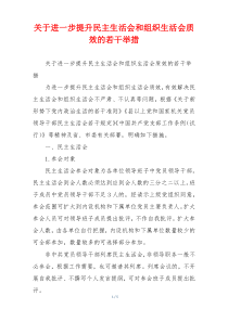 关于进一步提升民主生活会和组织生活会质效的若干举措