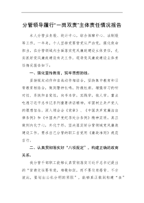 工作报告分管领导履行一岗双责主体责任情况报告范文副职领导工作汇报总结