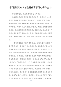 学习贯彻2025年主题教育学习心得体会 3