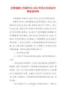 分管城建工作副市长2025年民主生活会对照检查材料