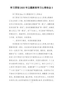 学习贯彻2025年主题教育学习心得体会3