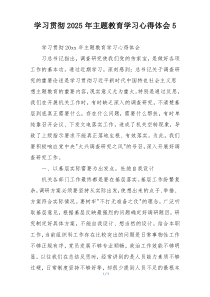 学习贯彻2025年主题教育学习心得体会5