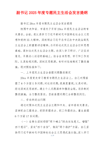 副书记2025年度专题民主生活会发言提纲