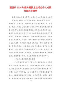 副县长2025年度专题民主生活会个人对照检查发言提纲