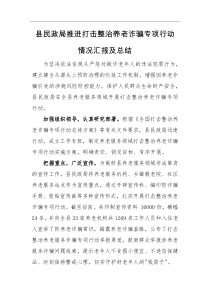 工作汇报县民政局推进打击整治养老诈骗专项行动情况汇报及总结