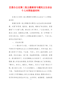 区委办主任第二批主题教育专题民主生活会个人对照检查材料