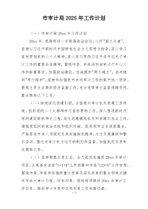 市审计局2025年工作计划