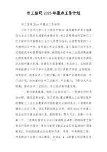 市工信局2025年重点工作计划