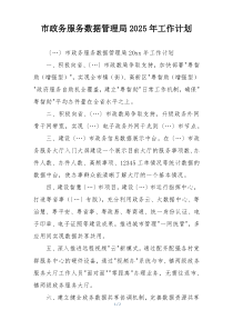 市政务服务数据管理局2025年工作计划