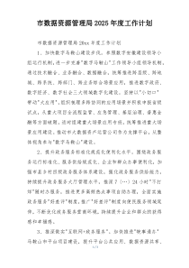 市数据资源管理局2025年度工作计划