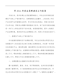 市农业品牌建设工作总结范文农业农村局工作汇报报告