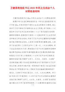 卫健系统党组书记2025年民主生活会个人对照检查材料