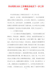 市水利局2025工作情况总结及下一步工作计划