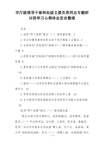市厅级领导干部和处级主要负责同志专题研讨班学习心得体会发言整理