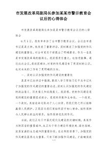 市发展改革局副局长参加某某市警示教育会议后的心得体会