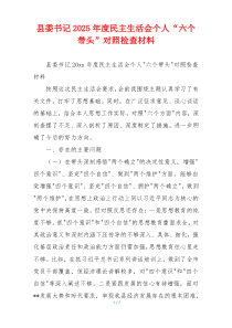 县委书记2025年度民主生活会个人“六个带头”对照检查材料