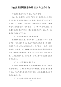 市自然资源局阳东分局2025年工作计划