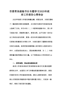市委常务副秘书长专题学习2025年政府工作报告心得体会