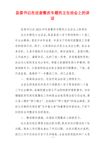 县委书记在巡查整改专题民主生活会上的讲话