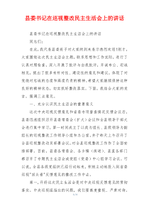 县委书记在巡视整改民主生活会上的讲话
