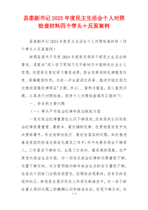 县委副书记2025年度民主生活会个人对照检查材料四个带头＋反面案例