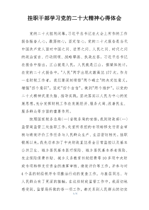 挂职干部学习党的二十大精神心得体会