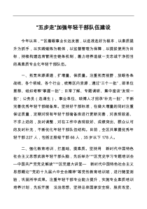 年轻干部队伍建设工作汇报