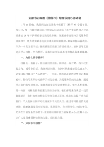 支部书记观看榜样9专题节目心得体会